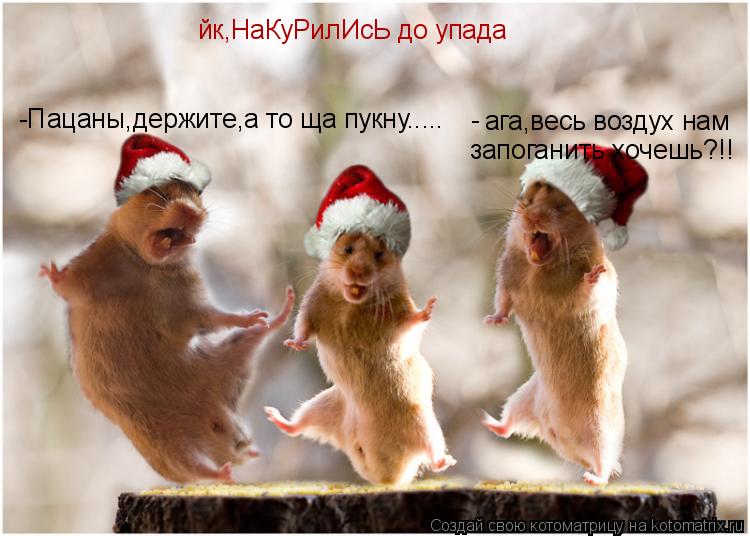 Котоматрица: йк,НаКуРилИсЬ до упада -Пацаны,держите,а то ща пукну..... ага,весь воздух нам  - запоганить хочешь?!!