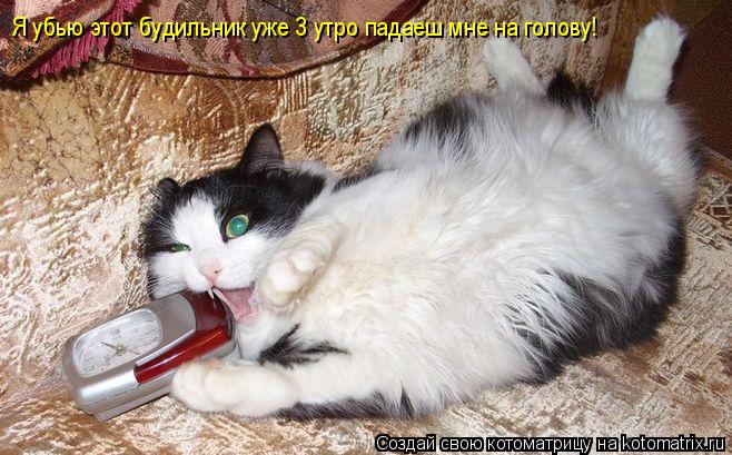 Котоматрица: Я убью этот будильник уже 3 утро падаеш мне на голову!