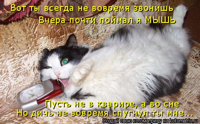 Котоматрица: Вот ты всегда не вовремя звонишь Вчера почти поймал я МЫШЬ Пусть не в кварире, а во сне Но дичь не вовремя спугнул ты мне...