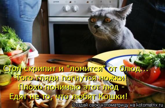 Котоматрица: Стол скрипит и "ломится" от блюд... Того гляди погнутся ножки! Плохо понимаю этот люд -  Едят не то, что любят Кошки!