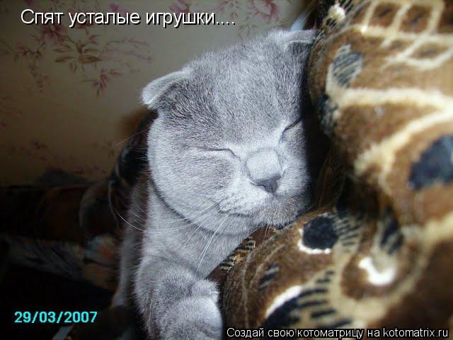 Котоматрица: Спят усталые игрушки....