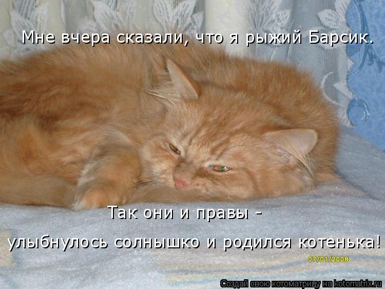 Мне вчера сказали, что я рыжий Барсик. Так они и правы - улыбнулось солнышко и родился котенька!... Котоматрица: Мне вчера сказали, что я рыжий Барсик. Так они и правы - улыбнулось солнышко и родился котенька!