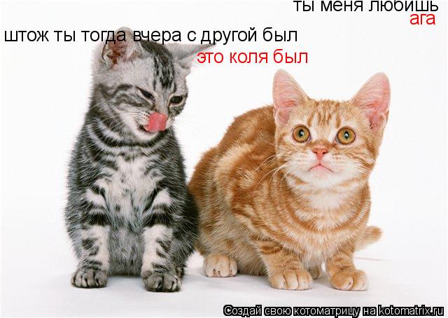 ты меня любишь ага штож ты тогда вчера с другой был это коля был... Котоматрица: ты меня любишь ага штож ты тогда вчера с другой был это коля был