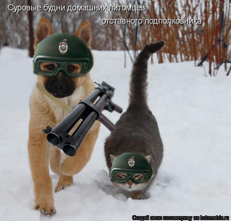 Суровые будни домашних питомцев отставного подполковника... Котоматрица: Суровые будни домашних питомцев отставного подполковника