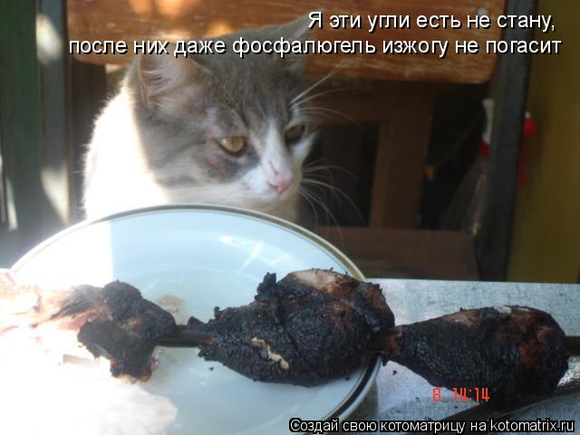 Котоматрица: Я эти угли есть не стану, после них даже фосфалюгель изжогу не погасит