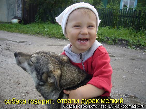Котоматрица: собака говорит: отвали дурак мелкий