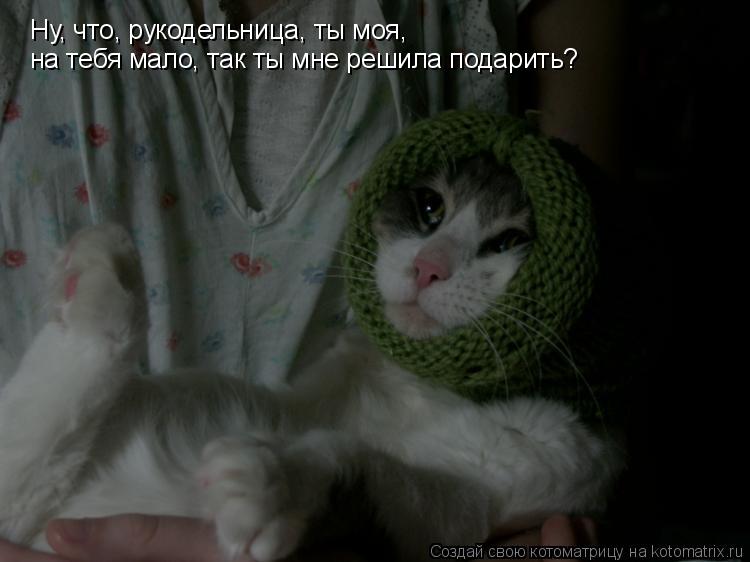 Котоматрица: Ну, что, рукодельница, ты моя, на тебя мало, так ты мне решила подарить?