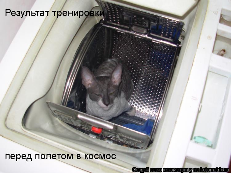 Котоматрица: Результат тренировки  перед полетом в космос