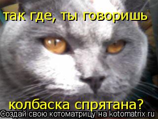 Котоматрица: так где, ты говоришь колбаска спрятана?