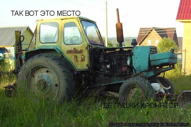 Котоматрица: ТАК ВОТ ЭТО МЕСТО ГДЕ ПУШКИ ХРОНЯТСЯ