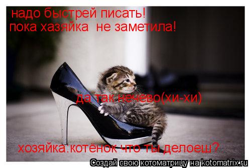 Котоматрица: надо быстрей писать! пока хазяйка  не заметила! хозяйка:котёнок что ты делоеш? да так нечево(хи-хи)