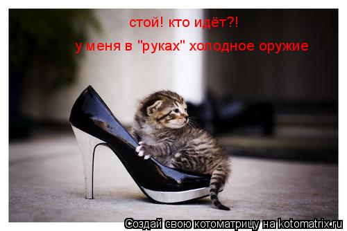 Котоматрица: стой! кто идёт?! у меня в "руках" холодное оружие