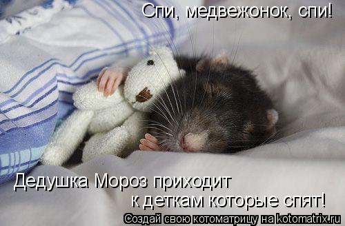 Котоматрица: Спи, медвежонок, спи! Дедушка Мороз приходит  к деткам которые спят!