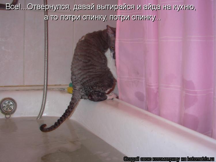 Котоматрица: Все!...Отвернулся, давай вытирайся и айда на кухню, а то потри спинку, потри спинку...
