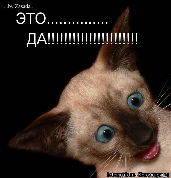 Котоматрица: ЭТО............... ДА!!!!!!!!!!!!!!!!!!!!!!