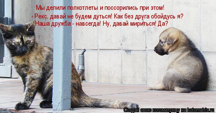 Котоматрица: Мы делили полкотлеты и поссорились при этом! - Рекс, давай не будем дуться! Как без друга обойдусь я? Наша дружба - навсегда! Ну, давай миритьс