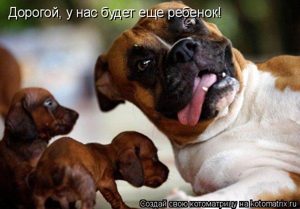 Дорогой, у нас будет еще ребенок!... Котоматрица: Дорогой, у нас будет еще ребенок!