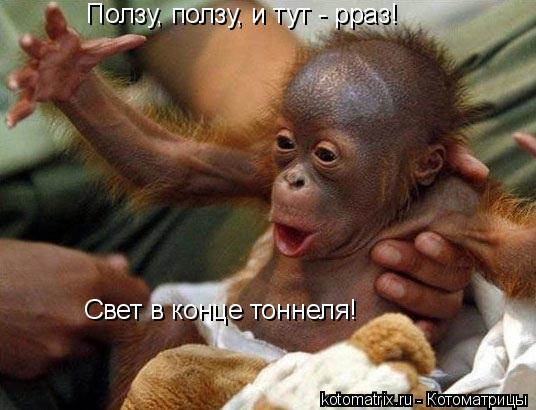 Котоматрица: Ползу, ползу, и тут - рраз! Свет в конце тоннеля!
