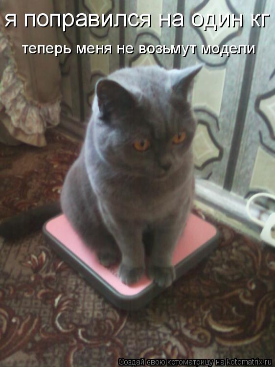 я поправился на один кг теперь меня не возьмут модели... Котоматрица: я поправился на один кг теперь меня не возьмут модели