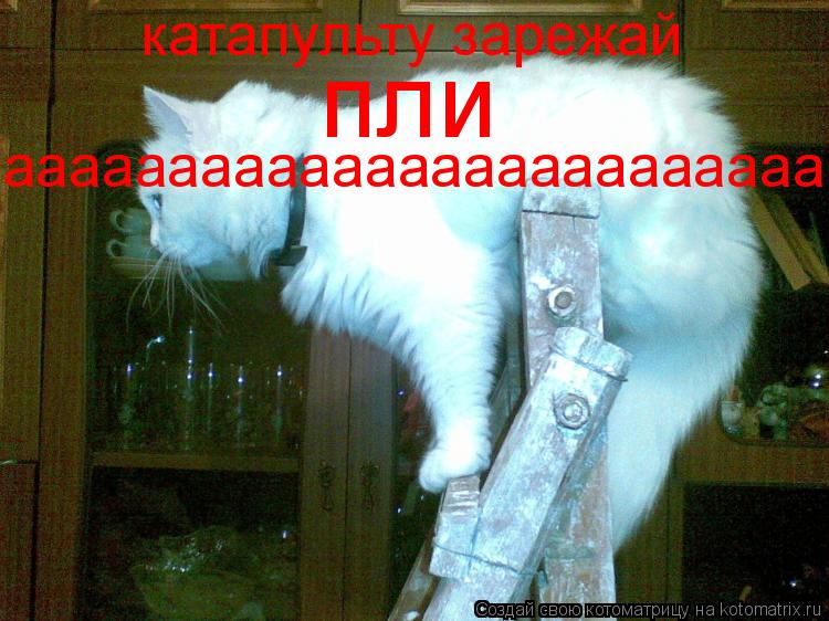 Котоматрица: катапульту зарежай пли ааааааааааааааааааааааааа