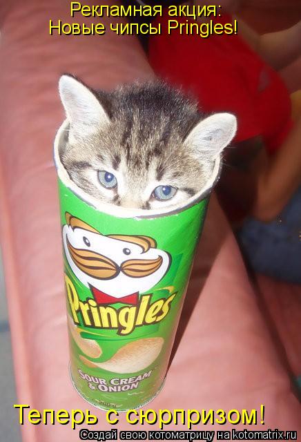 Котоматрица: Рекламная акция:  Новые чипсы Pringles! Теперь с сюрпризом!