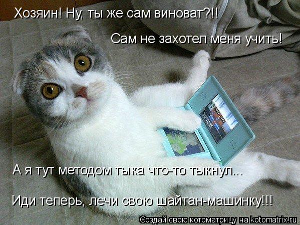Котоматрица: Хозяин! Ну, ты же сам виноват?!!  Сам не захотел меня учить! А я тут методом тыка что-то тыкнул... Иди теперь, лечи свою шайтан-машинку!!!