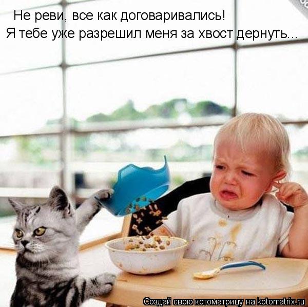 Котоматрица: Не реви, все как договаривались! Я тебе уже разрешил меня за хвост дернуть...