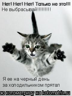 Котоматрица: Нет! Нет! Нет! Только не это!!! Нет! Нет! Нет! Только не это!!! Я ее на черный день за холодильником прятал Не выбрасывай!!!!!!!!!