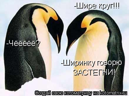 Котоматрица: -Шире круг!!! -Чёёёёё? -Ширинку говорю  ЗАСТЕГНИ!