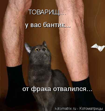 Котоматрица: ТОВАРИЩ.... у вас бантик... от фрака отвалился...