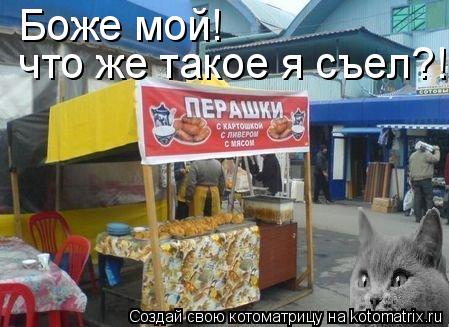 Котоматрица: Боже мой!  что же такое я съел?!
