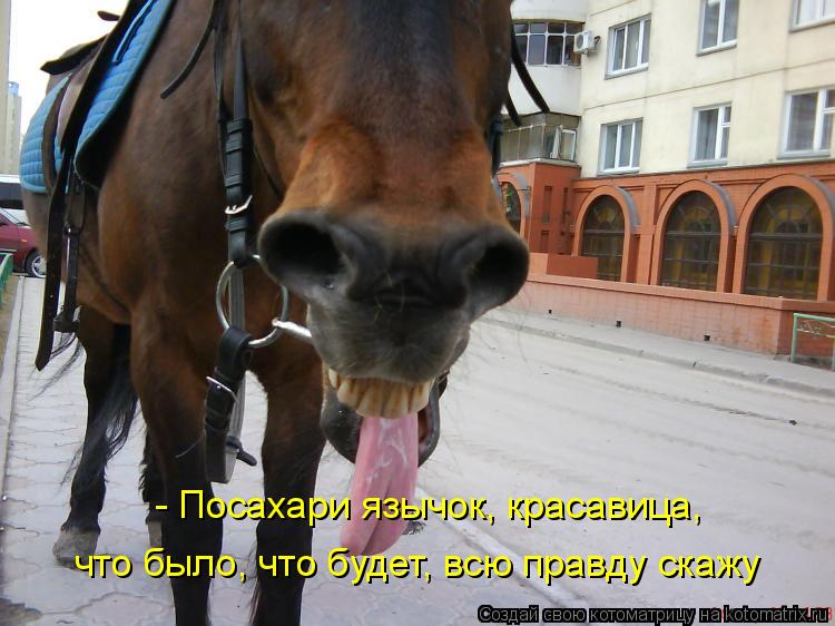 Котоматрица: - Посахари язычок, красавица, что было, что будет, всю правду скажу