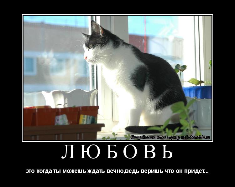 Любовь это когда ты можешь ждать вечно,ведь веришь что он придет...... Котоматрица: Любовь это когда ты можешь ждать вечно,ведь веришь что он придет...