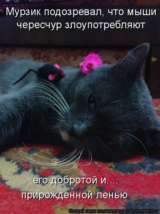 Котоматрица: Мурзик подозревал, что мыши чересчур злоупотребляют его добротой и.... прирожденной ленью