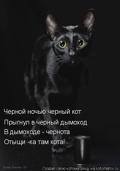 Котоматрица: Черной ночью черный кот Прыгнул в черный дымоход В дымоходе - чернота Отыщи -ка там кота!