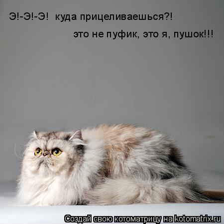 Котоматрица: Э!-Э!-Э!  куда прицеливаешься?!  это не пуфик, это я, пушок!!!