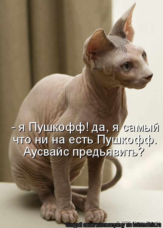 Котоматрица: - я Пушкофф! да, я самый что ни на есть Пушкофф. Аусвайс предьявить? что ни на есть Пушкофф.  Аусвайс предьявить?