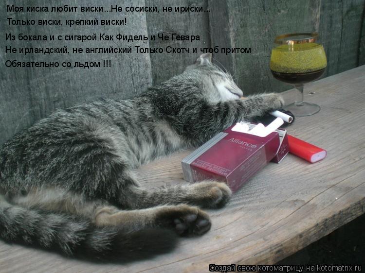 Котоматрица: Моя киска любит виски...Не сосиски, не ириски... Из бокала и с сигарой Как Фидель и Че Гевара Только виски, крепкий виски! Обязательно со льдом 