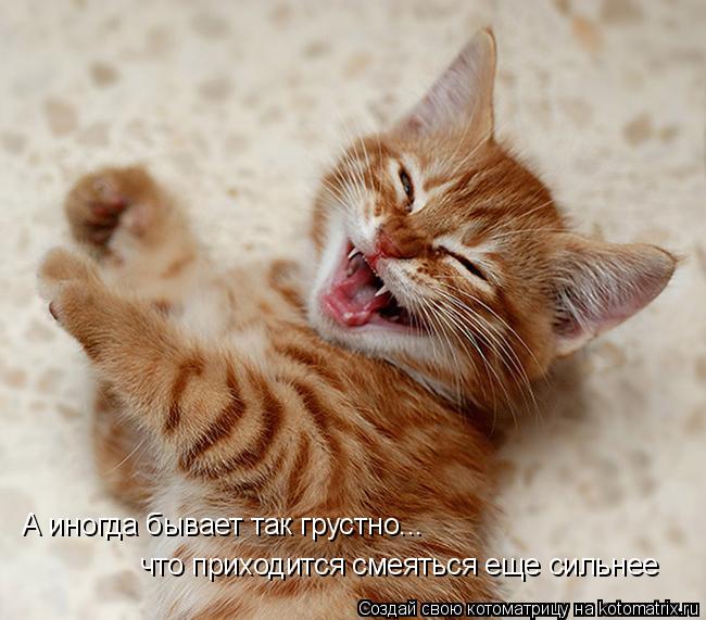 А иногда бывает так грустно... что приходится смеяться еще сильнее... Котоматрица: А иногда бывает так грустно... что приходится смеяться еще сильнее
