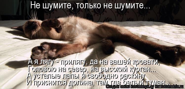 Котоматрица: А усталые лапы я свободно раскину  Головою на север, на высокий курган... А я лягу - прилягу, да на вашей кровати,  И приснится долина, там где б