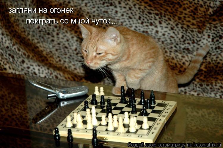 Котоматрица: загляни на огонек поиграть со мной чуток ...
