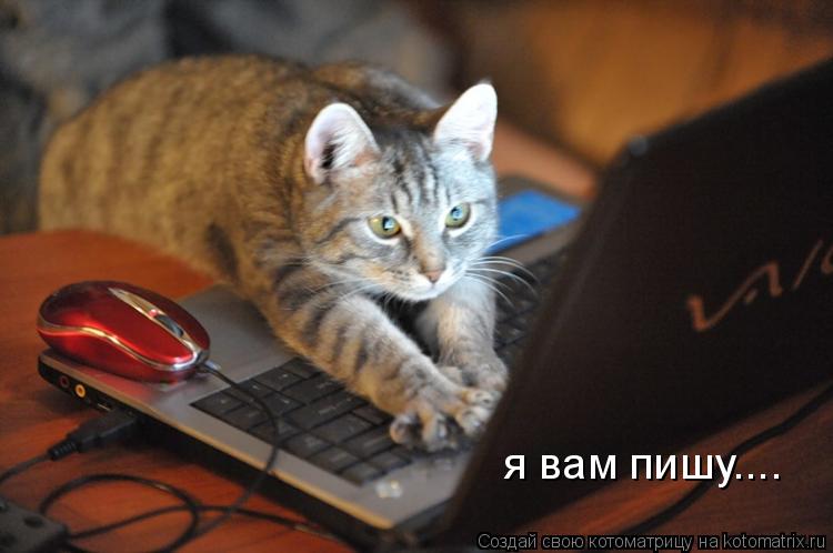 Котоматрица: я вам пишу....