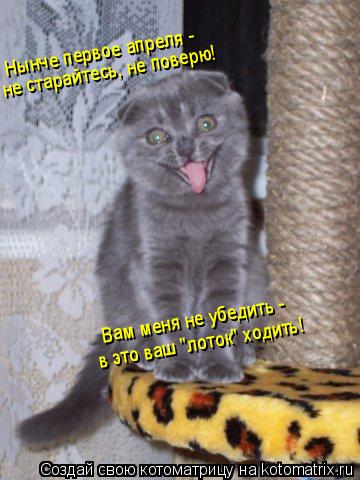 Котоматрица: Нынче первое апреля - не старайтесь, не поверю! Вам меня не убедить -  в это ваш "лоток" ходить!