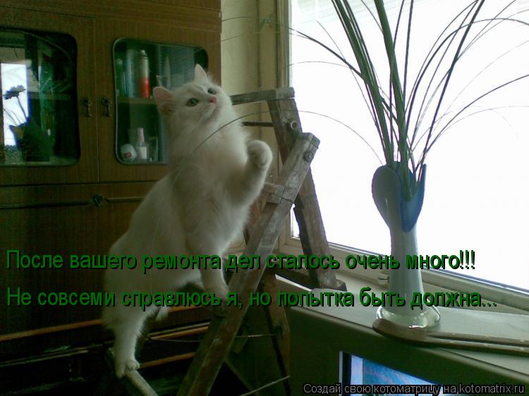 Котоматрица: После вашего ремонта дел сталось очень много!!! Не совсеми справлюсь я, но попытка быть должна...