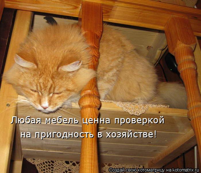 Котоматрица: Любая мебель ценна проверкой  на пригодность в хозяйстве!