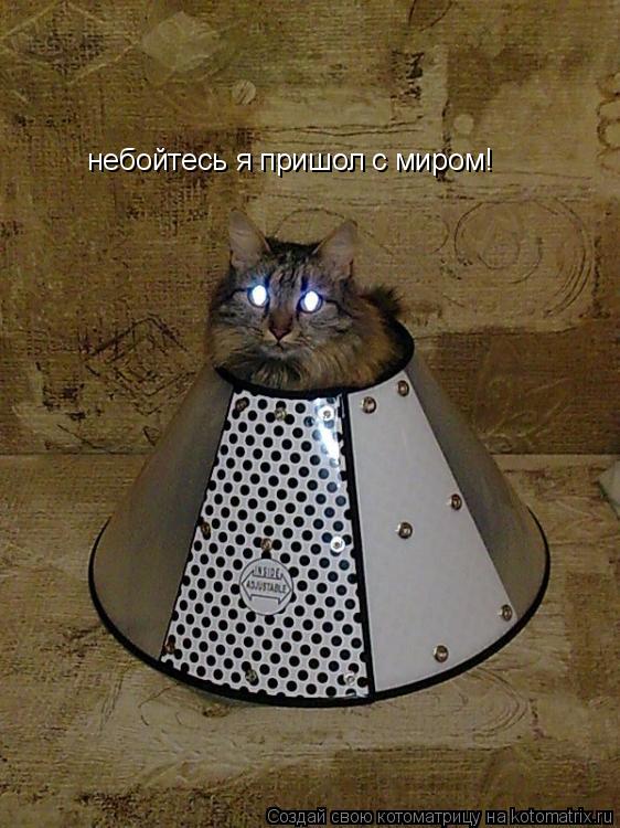Котоматрица: небойтесь я пришол с миром!