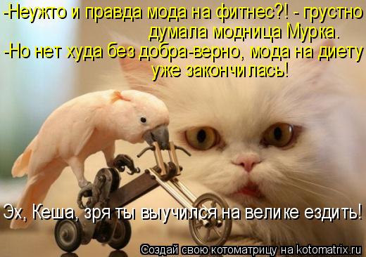 Котоматрица: -Неужто и правда мода на фитнес?! - грустно  думала модница Мурка. уже закончилась! -Но нет худа без добра-верно, мода на диету  Эх, Кеша, зря ты 