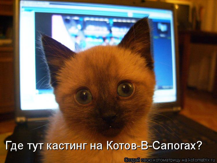 Котоматрица: Где тут кастинг на Котов-В-Сапогах?