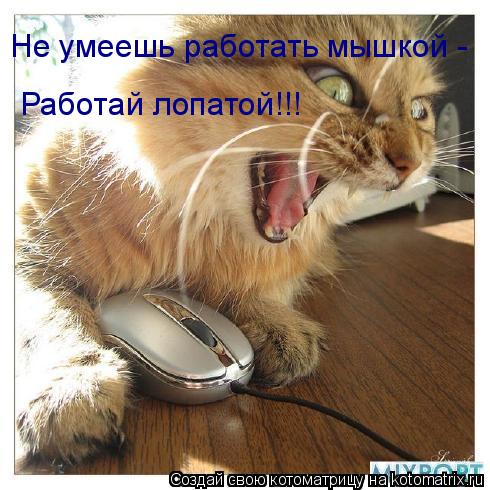 Котоматрица: Не умеешь работать мышкой -  Работай лопатой!!!