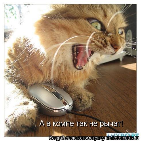 Котоматрица: А в компе так не рычат!
